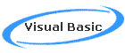 Visual Basic